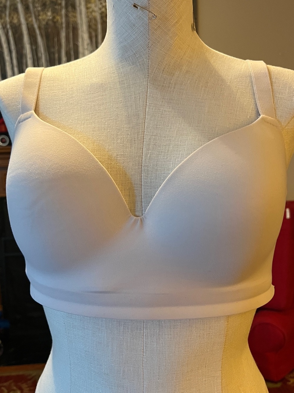 Soma Light Nude Padded T-Shirt Bra